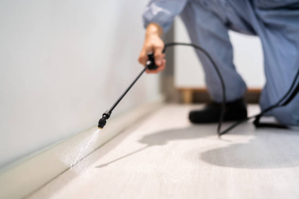 Licensed Pest Control service in Belleville, MI - Show Me Pest Control