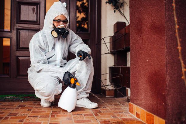 Reliable Ant Control contractor in Belleville, MI by Show Me Pest Control